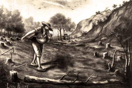  Louis Hébert prépare sa terre pour pratiquer l'agriculture en Nouvelle-France
